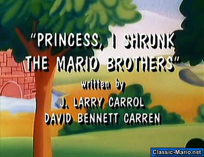 /princess_i_shrunk_the_mario_bros